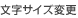 �����T�C�Y